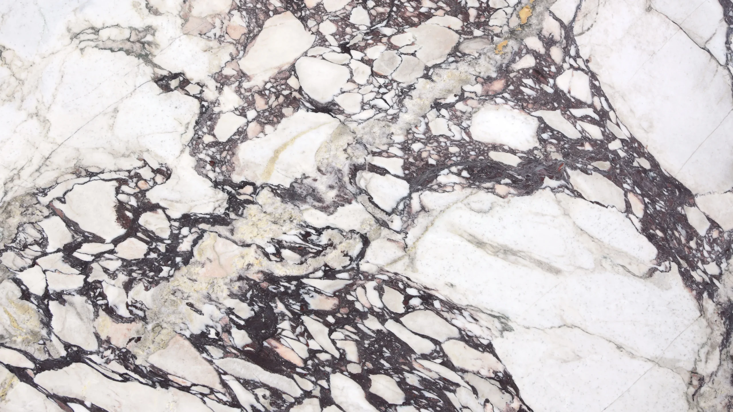 Breccia Capraia Nuovalato (Monet)