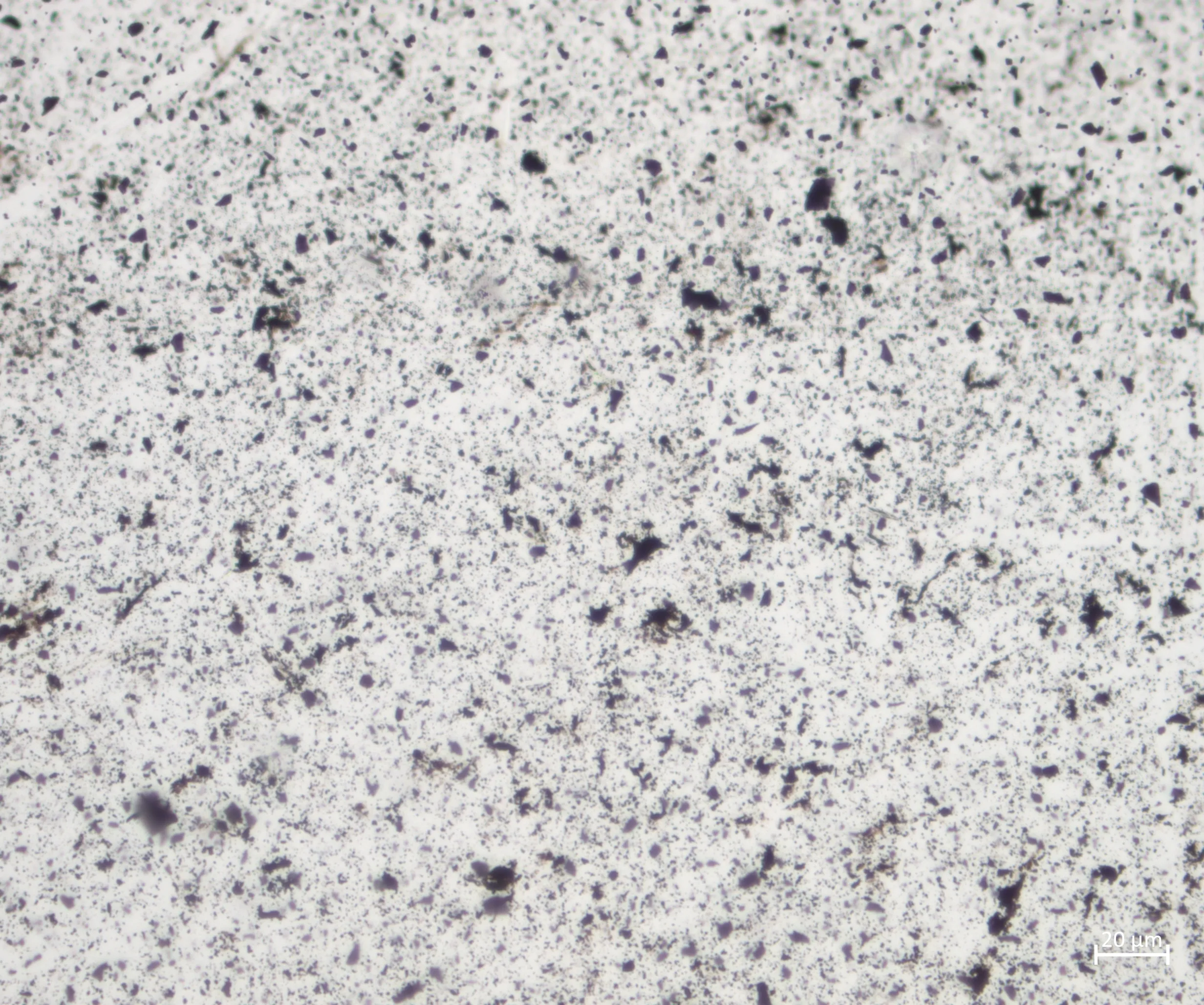 Type: Granite
