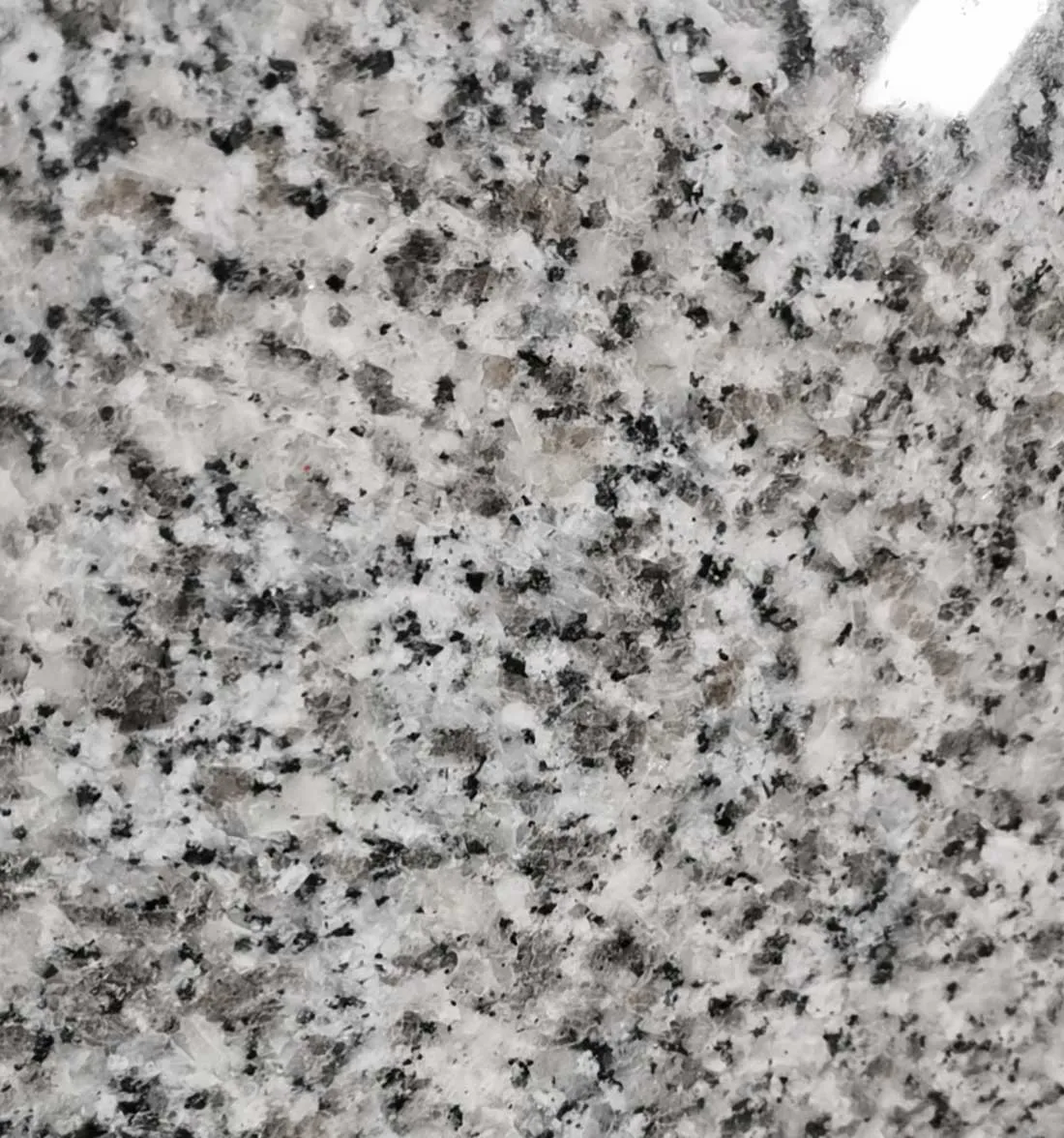 Type : Granite