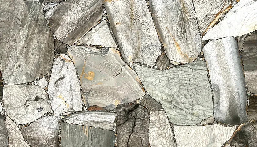 Precious Stone JASPER Shellflint