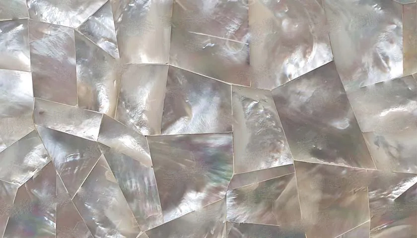 Precious Stone MOTHER OF PEARL White Random