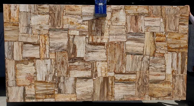 Precious Stone PETRIFIED WOOD Cremo Retro