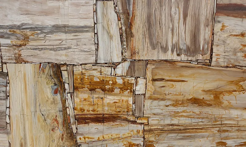 Precious Stone PETRIFIED WOOD Cremo Retro