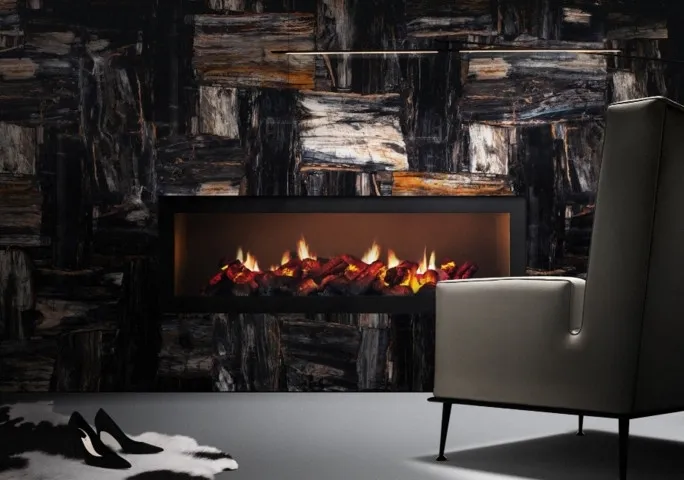 Precious Stone PETRIFIED WOOD Black & White Retro