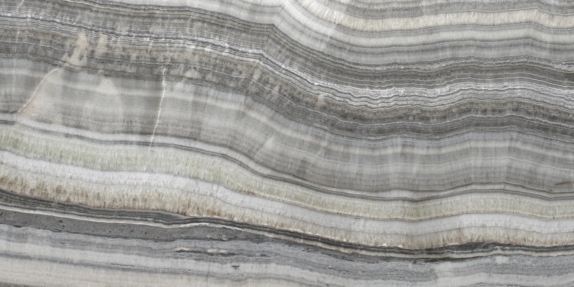 onicevelluto-favorita.jpg__1984x992_q75_crop_subsampling-2_upscale